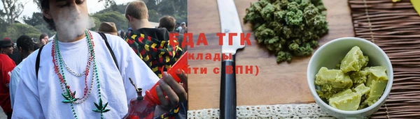 сатива Верея