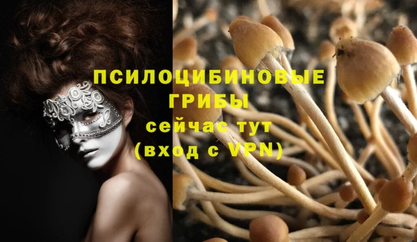 ПСИЛОЦИБИНОВЫЕ ГРИБЫ Волосово