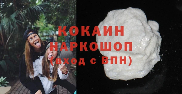 сатива Верея